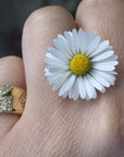 Anello Gipsy